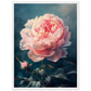 Poster Pivoine Rose ( 45x60-cm-Bois-blanc)