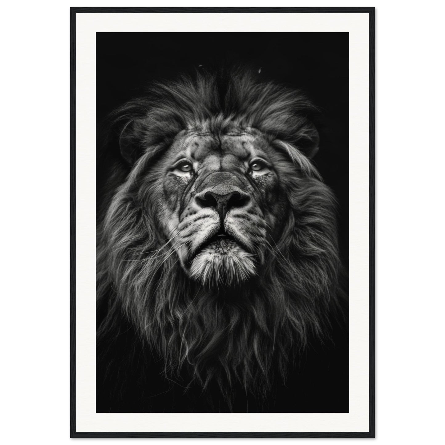 Poster Tête de Lion Noir et Blanc ( 70x100-cm-Bois-noir)