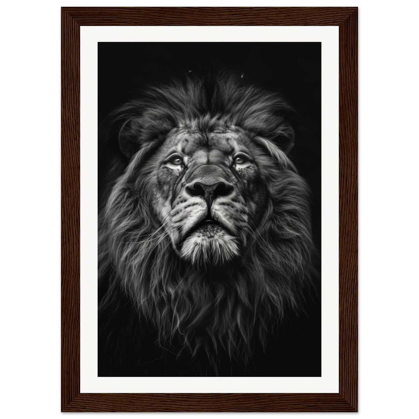 Poster Tête de Lion Noir et Blanc ( 21x29.7-cm-Bois-foncé)