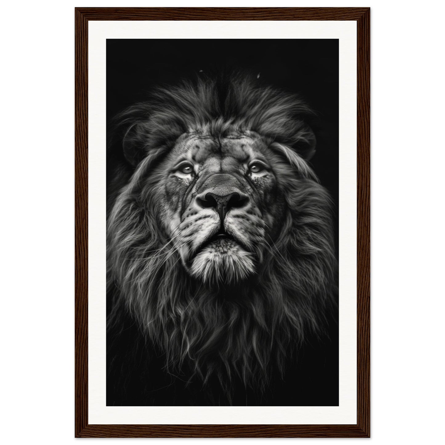 Poster Tête de Lion Noir et Blanc ( 30x45-cm-Bois-foncé)