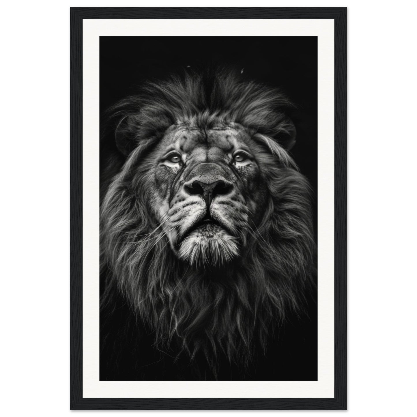 Poster Tête de Lion Noir et Blanc ( 30x45-cm-Bois-noir)