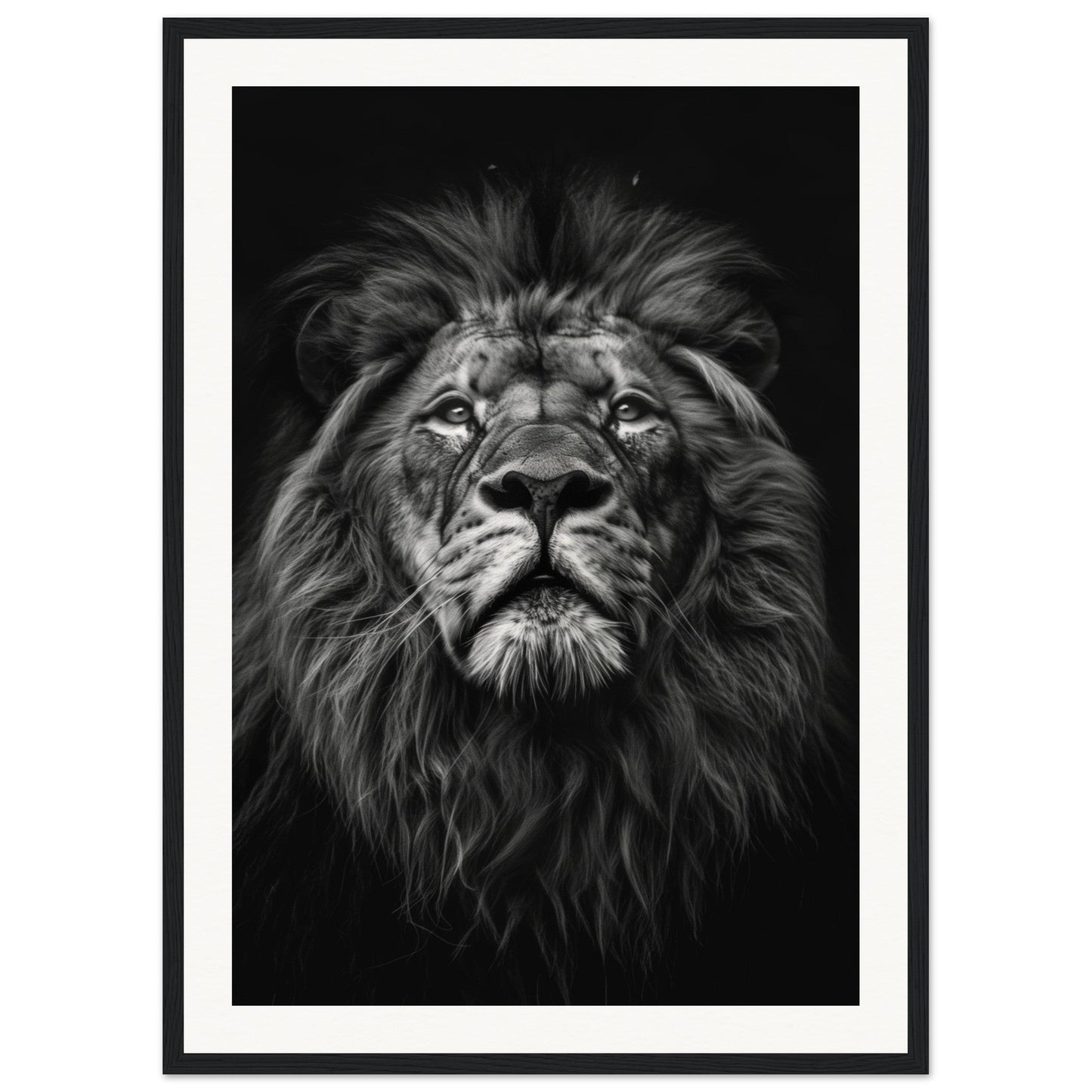 Poster Tête de Lion Noir et Blanc ( 50x70-cm-Bois-noir)