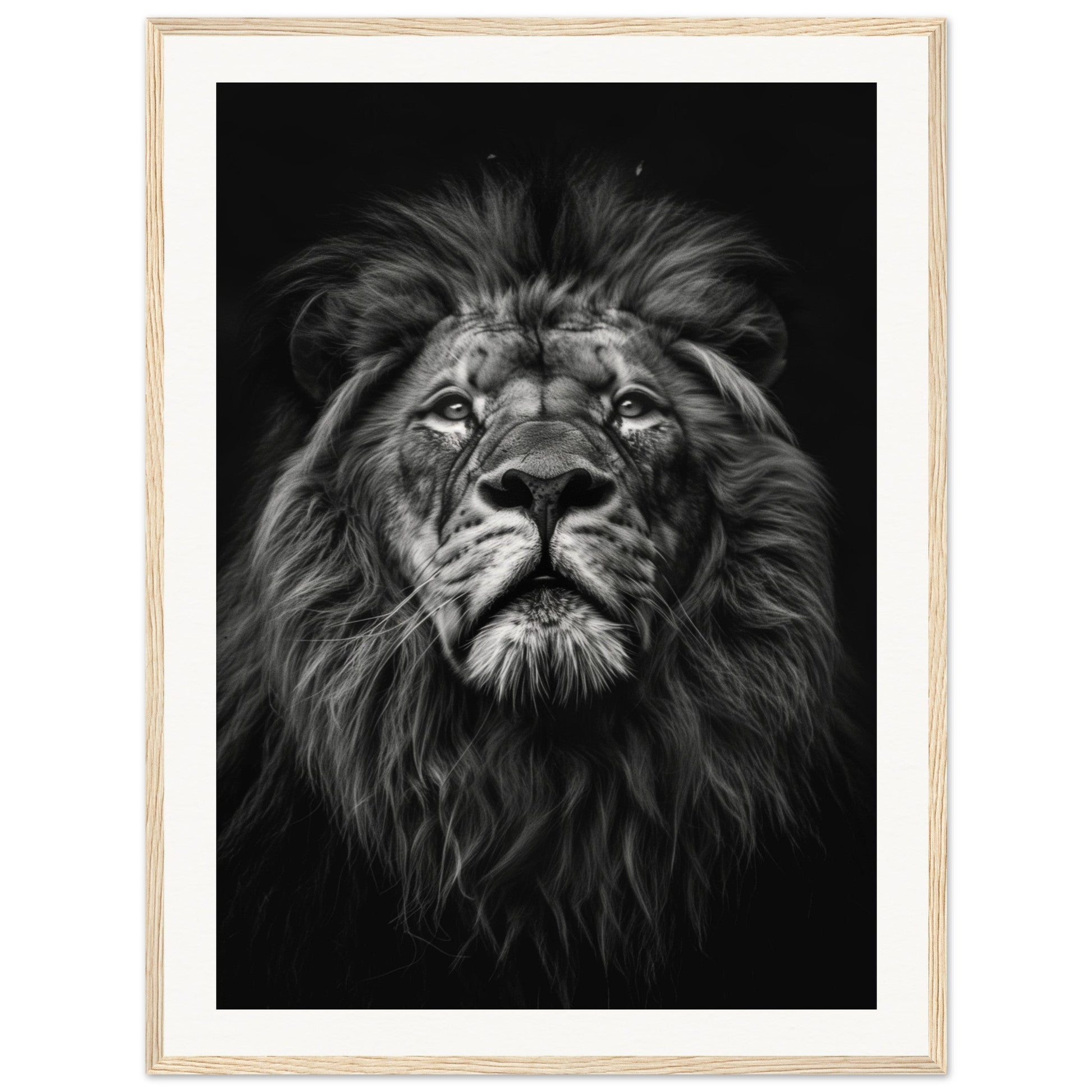 Poster Tête de Lion Noir et Blanc ( 60x80-cm-Bois-clair)