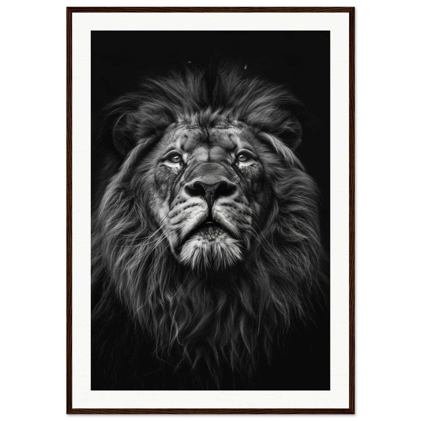 Poster Tête de Lion Noir et Blanc ( 70x100-cm-Bois-foncé)