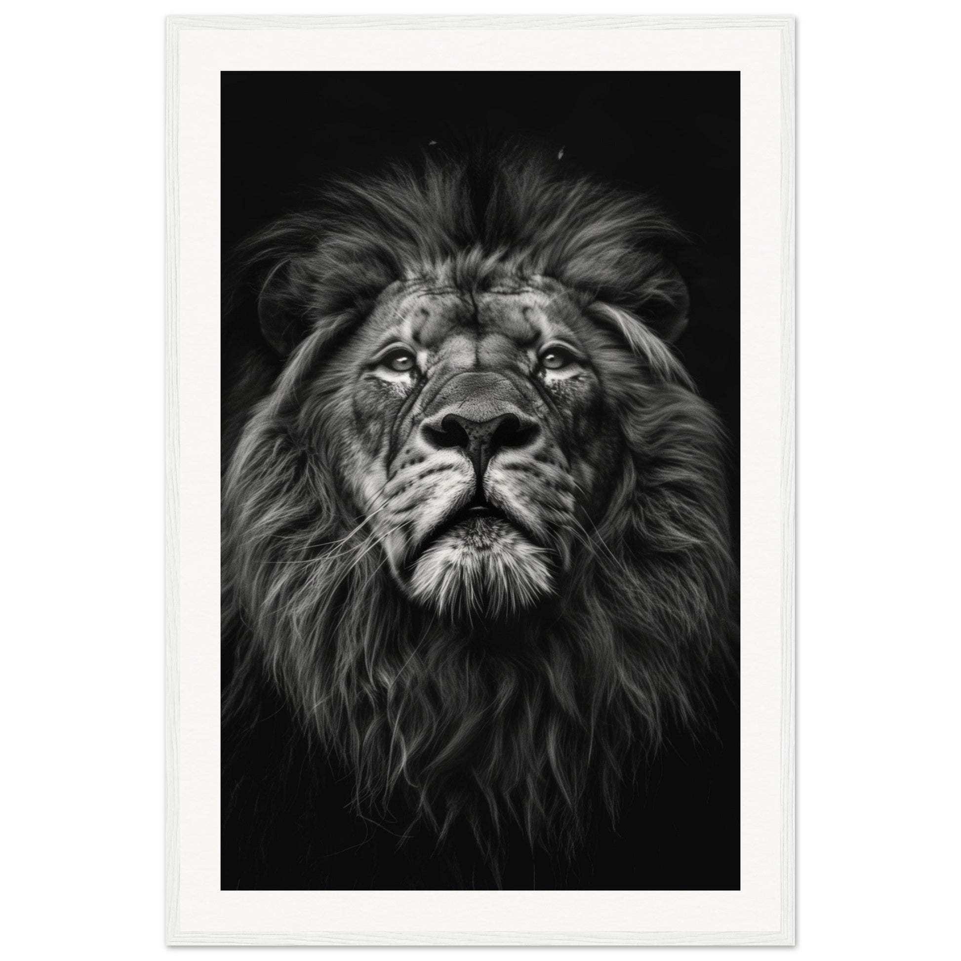 Poster Tête de Lion Noir et Blanc ( 60x90-cm-Bois-blanc)