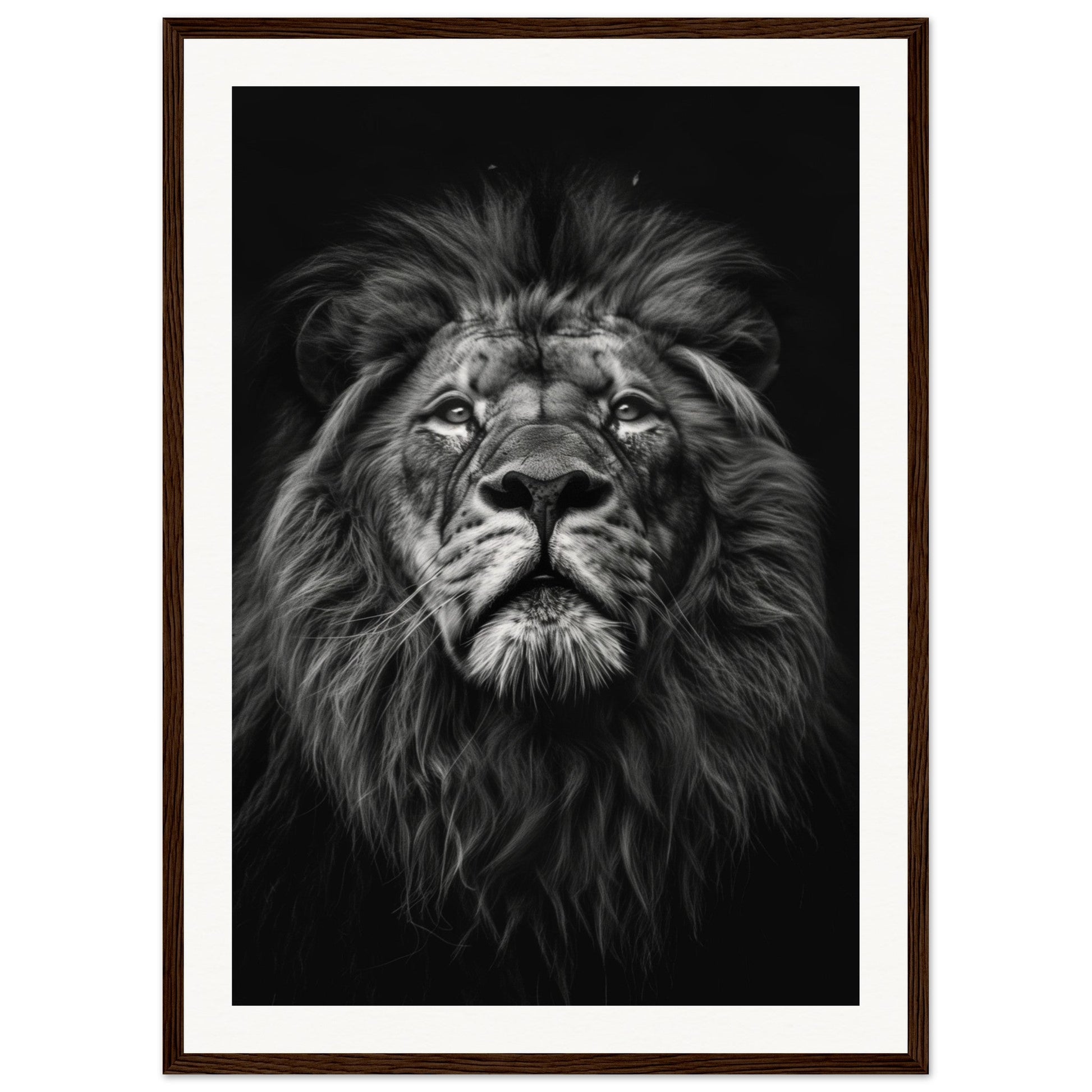 Poster Tête de Lion Noir et Blanc ( 50x70-cm-Bois-foncé)