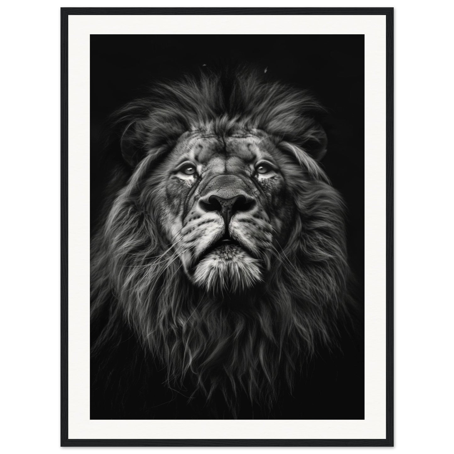 Poster Tête de Lion Noir et Blanc ( 60x80-cm-Bois-noir)