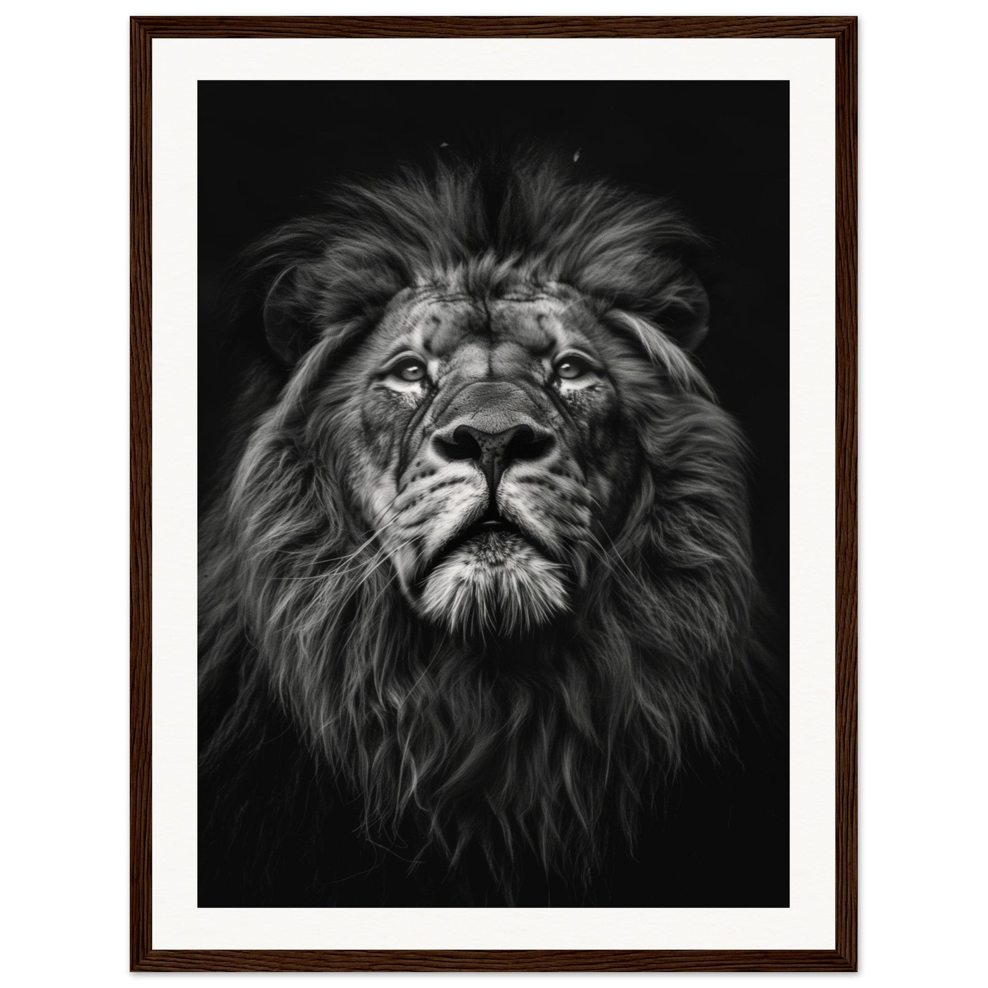 Poster Tête de Lion Noir et Blanc ( 45x60-cm-Bois-foncé)