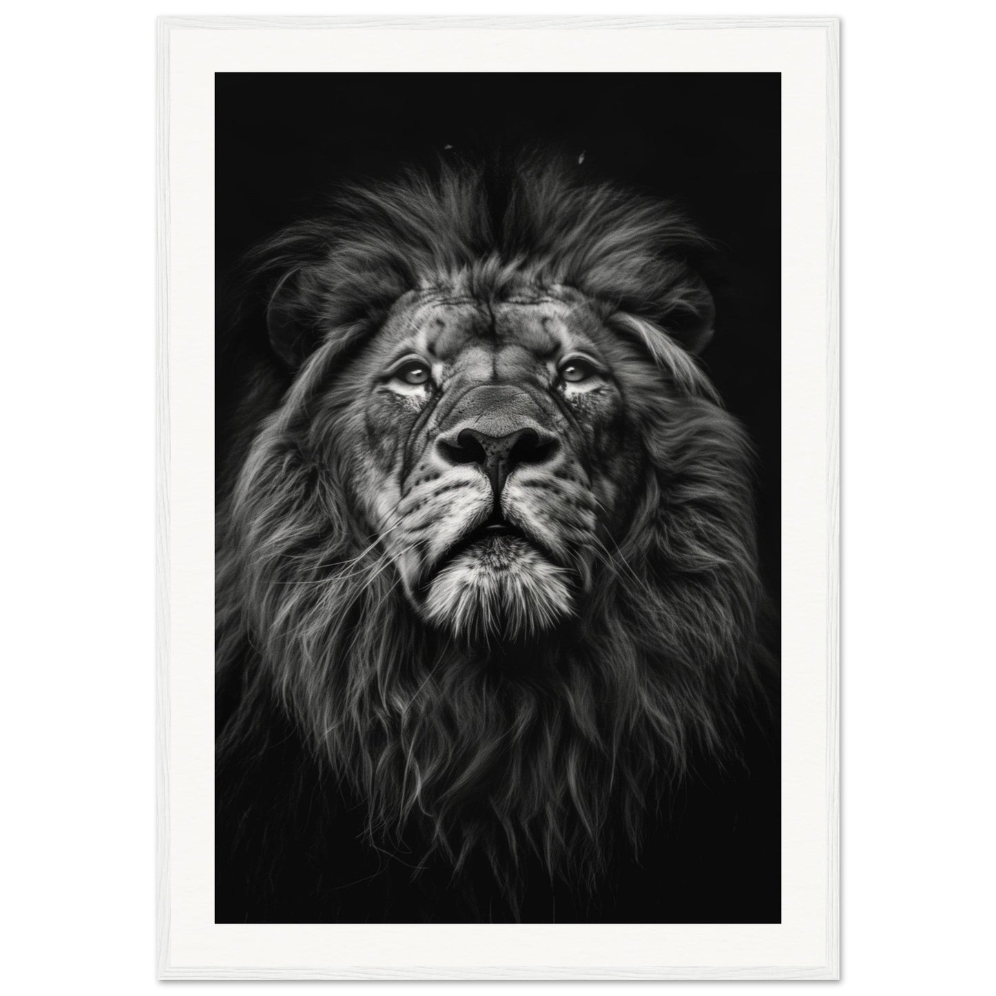 Poster Tête de Lion Noir et Blanc ( 70x100-cm-Bois-blanc)