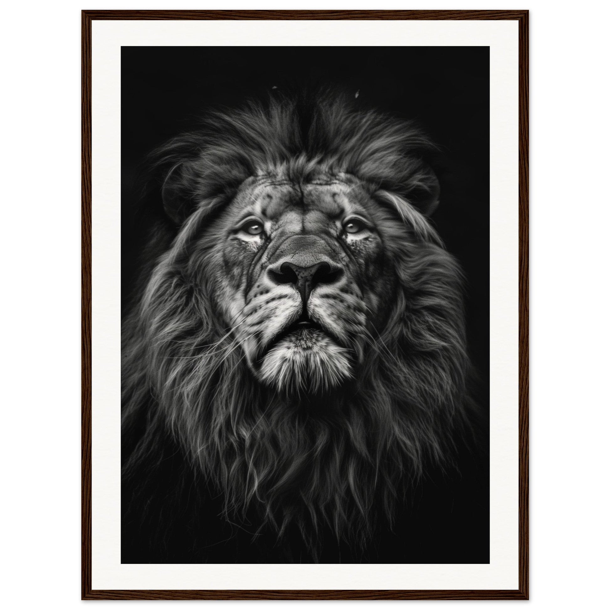 Poster Tête de Lion Noir et Blanc ( 60x80-cm-Bois-foncé)