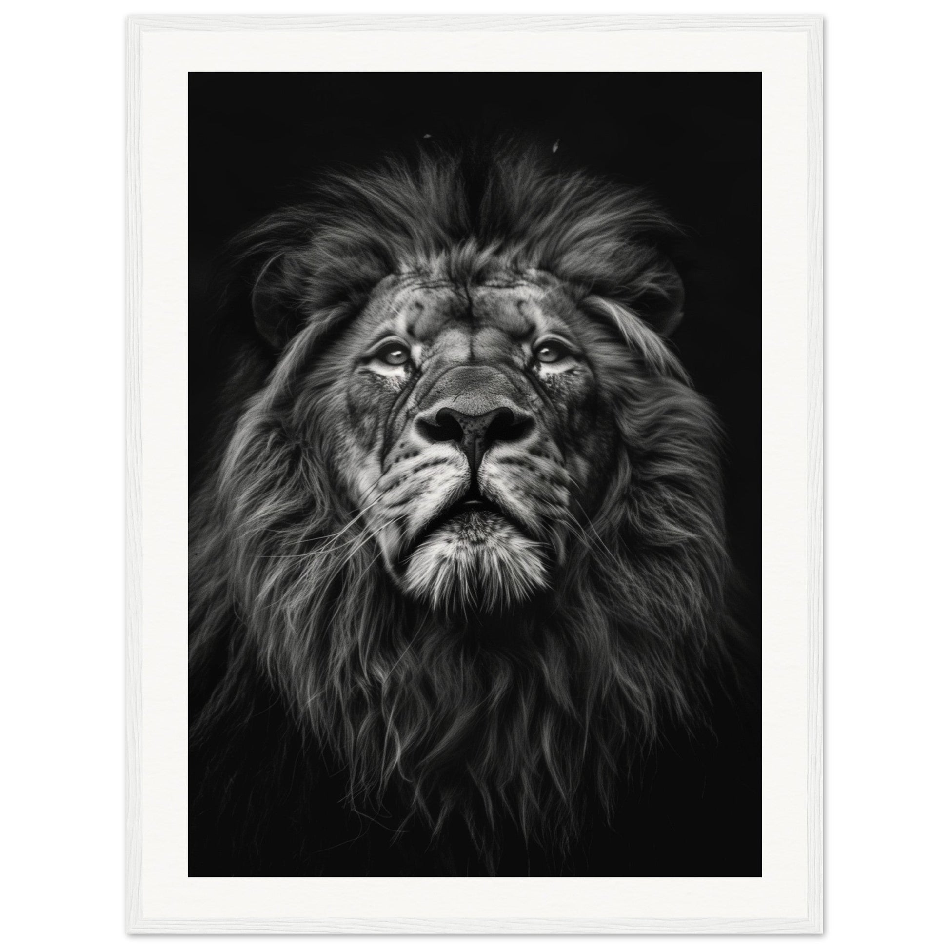 Poster Tête de Lion Noir et Blanc ( 60x80-cm-Bois-blanc)