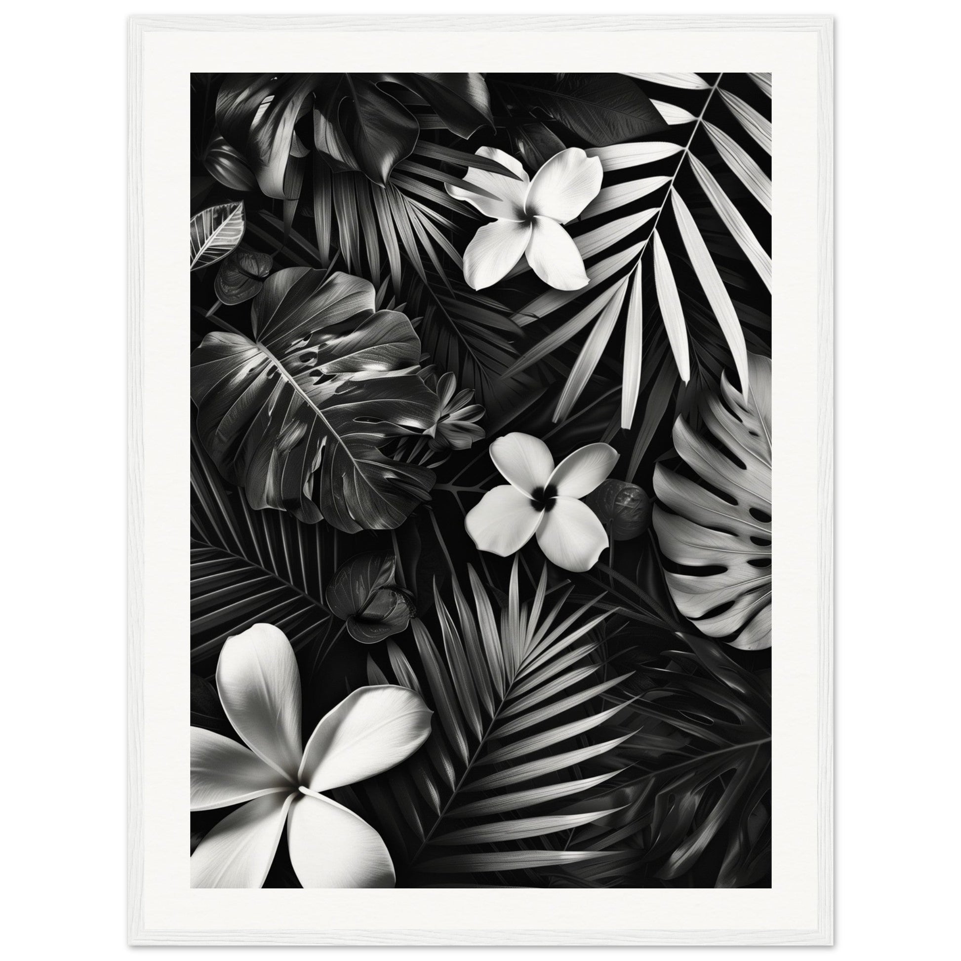 Poster Tropical Noir et Blanc ( 60x80-cm-Bois-blanc)