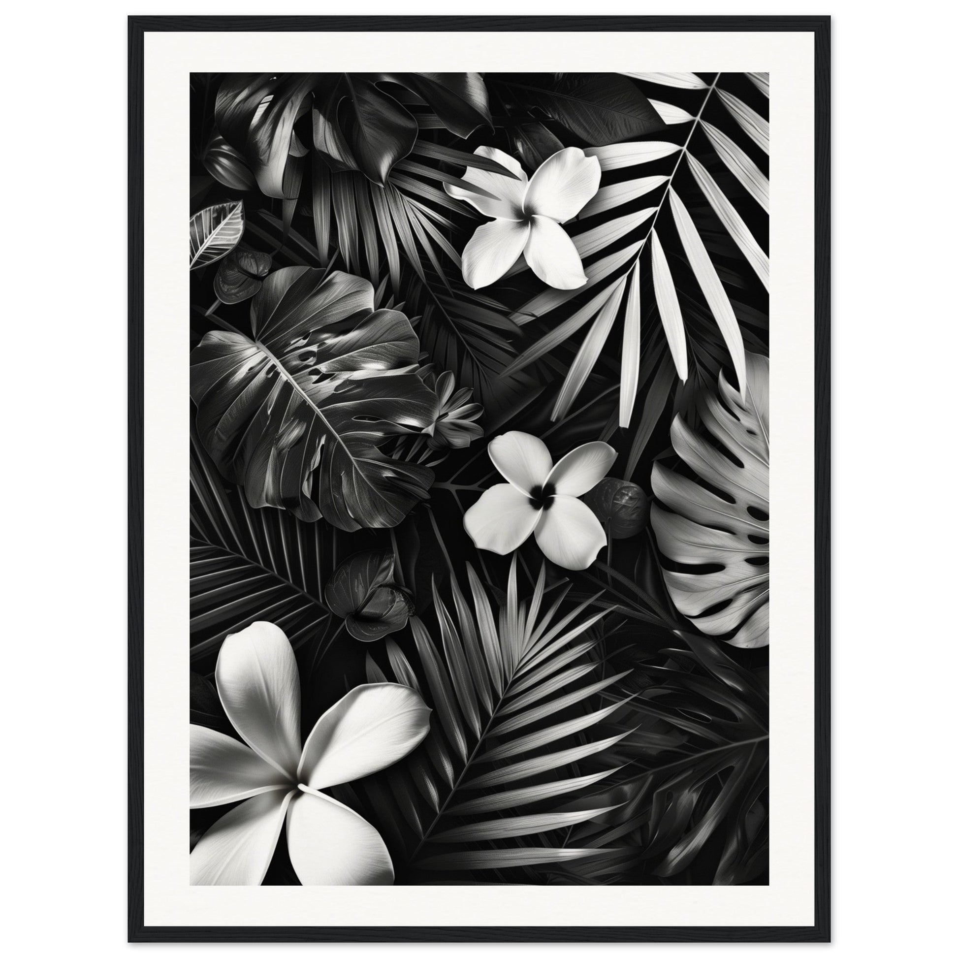 Poster Tropical Noir et Blanc ( 60x80-cm-Bois-noir)