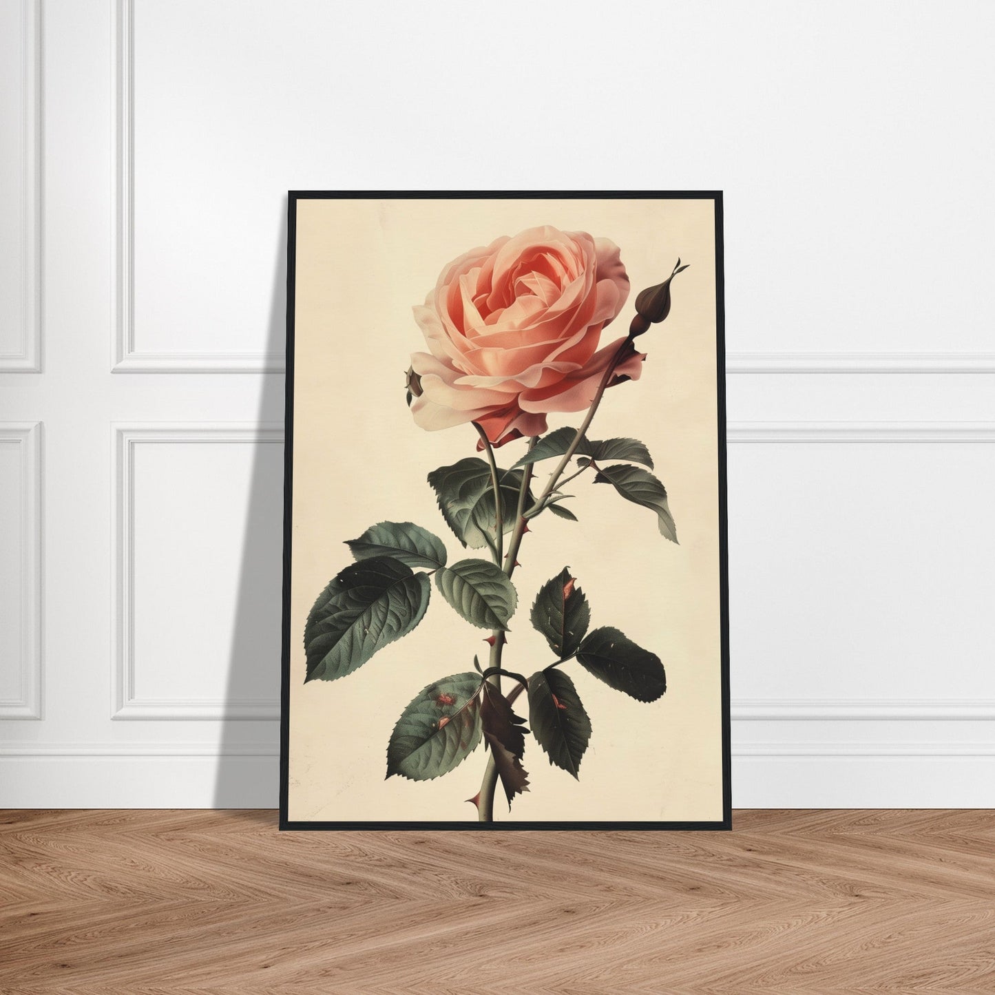 Poster Vintage Rose ( )