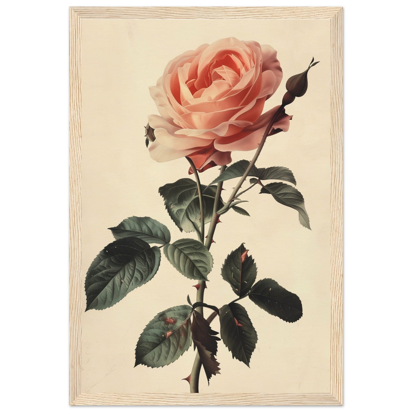 Poster Vintage Rose ( 30x45-cm-Bois-clair)