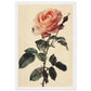 Poster Vintage Rose ( 30x45-cm-Bois-blanc)