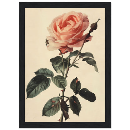 Poster Vintage Rose ( 21x29.7-cm-Bois-noir)