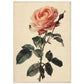 Poster Vintage Rose ( 70x100-cm-Bois-clair)