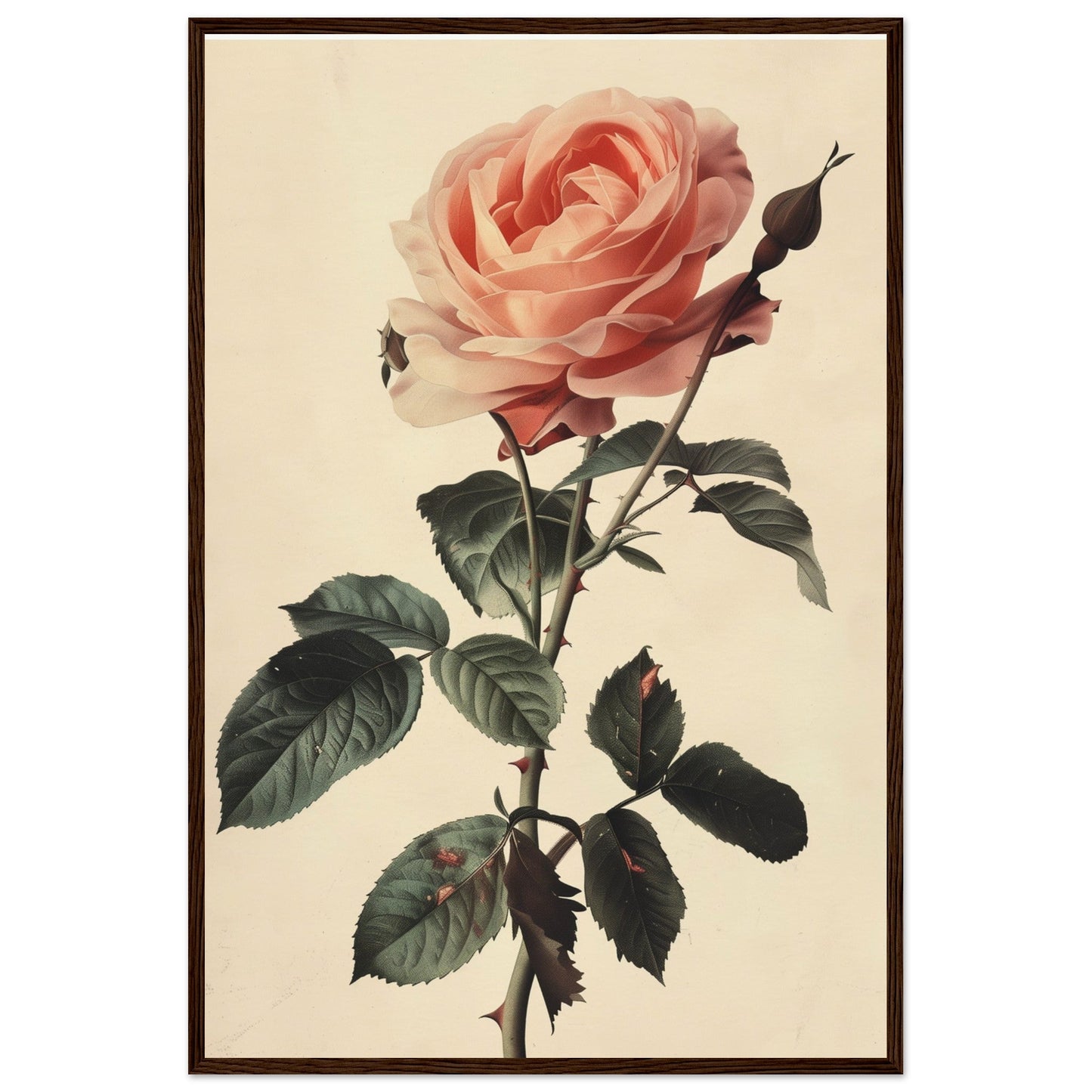 Poster Vintage Rose ( 60x90-cm-Bois-foncé)