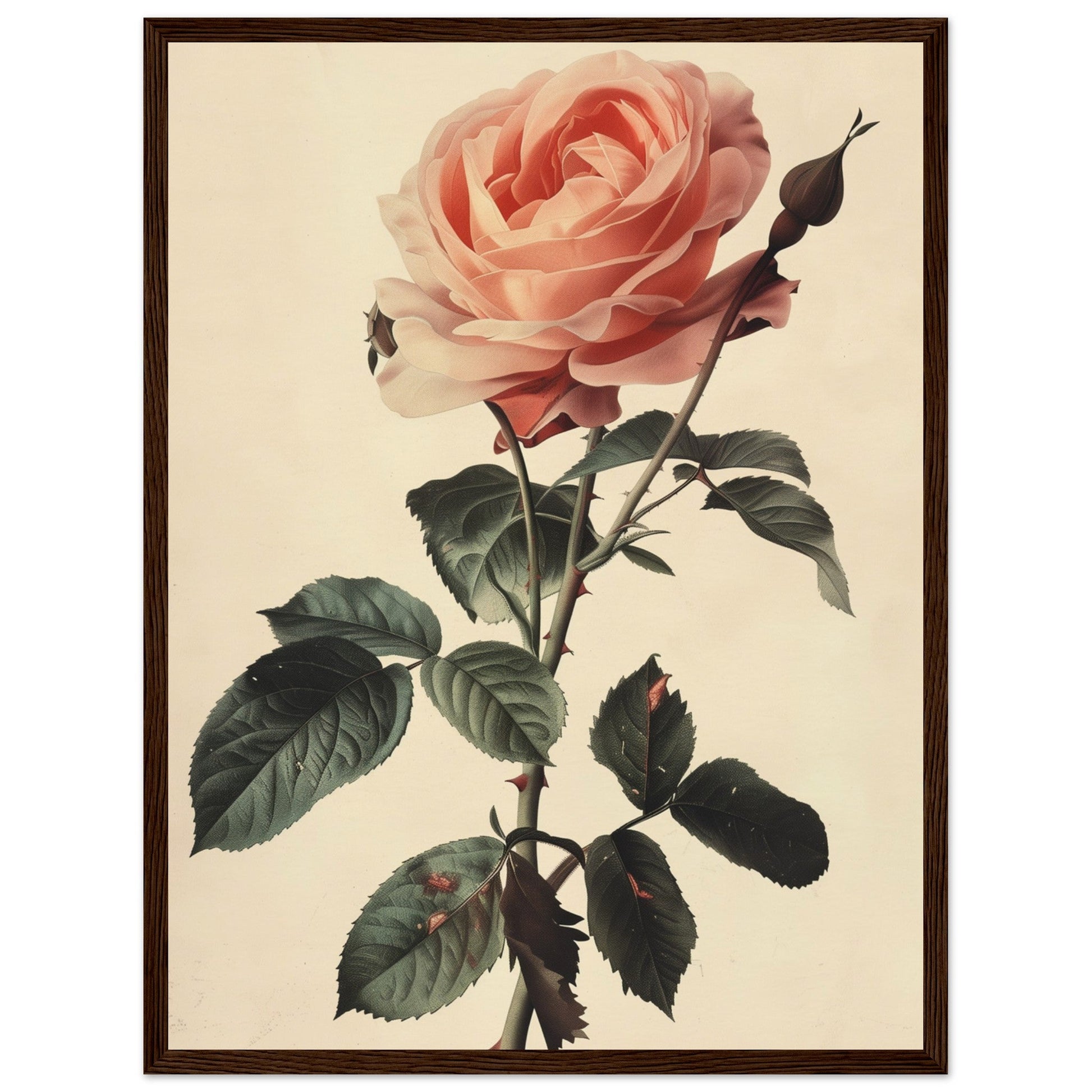 Poster Vintage Rose ( 45x60-cm-Bois-foncé)