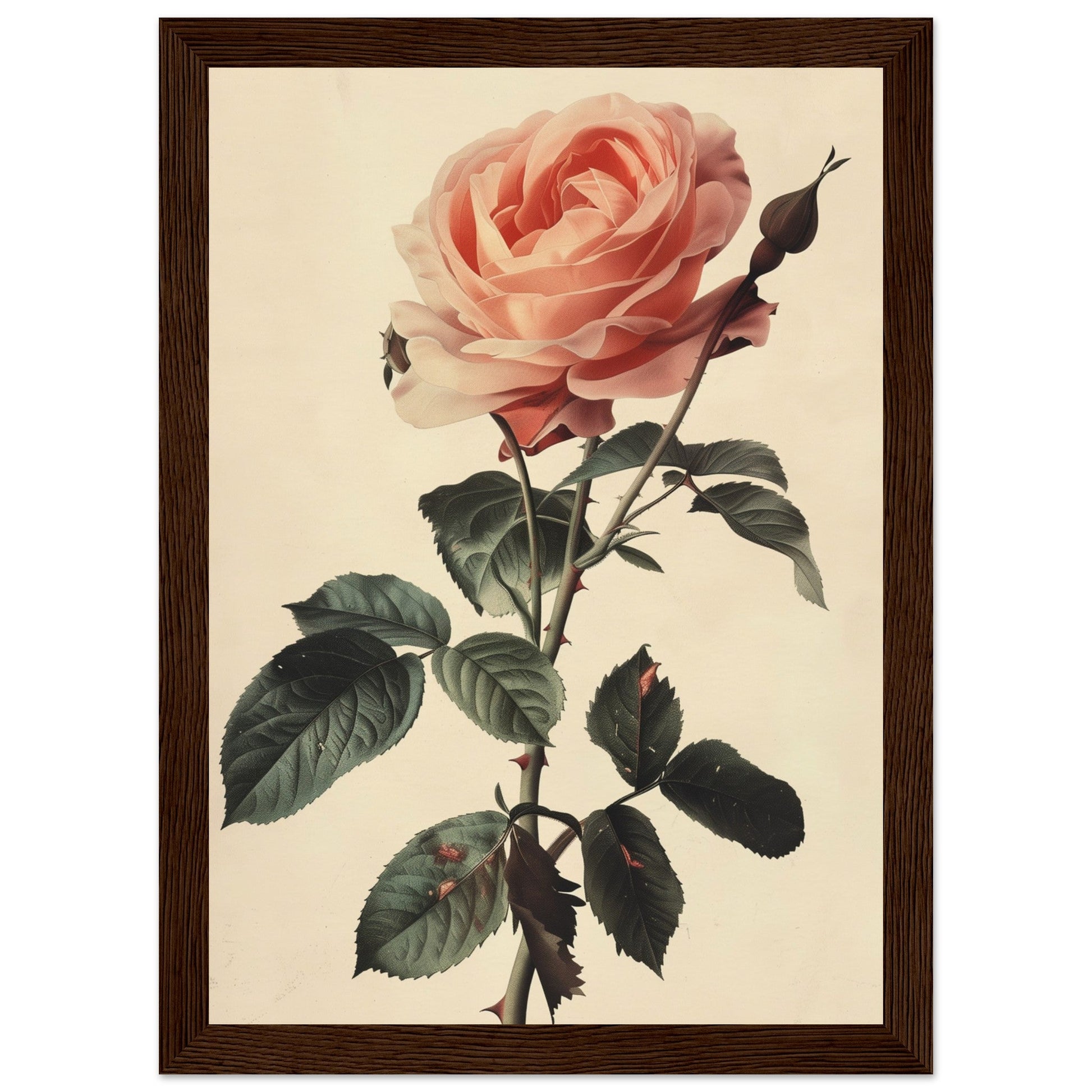 Poster Vintage Rose ( 21x29.7-cm-Bois-foncé)