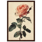 Poster Vintage Rose ( 30x45-cm-Bois-foncé)