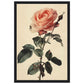 Poster Vintage Rose ( 30x45-cm-Bois-noir)