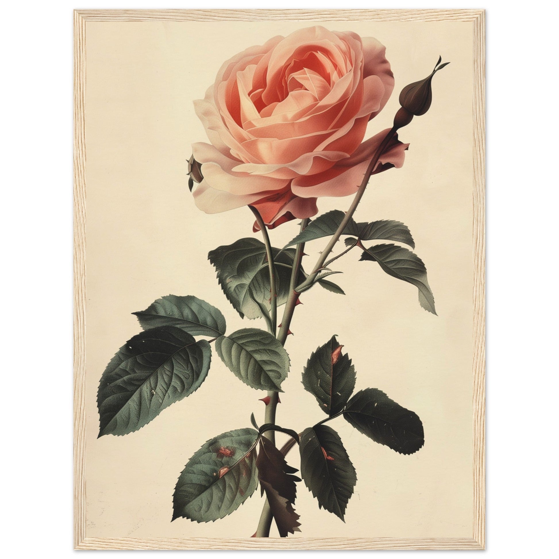 Poster Vintage Rose ( 45x60-cm-Bois-clair)