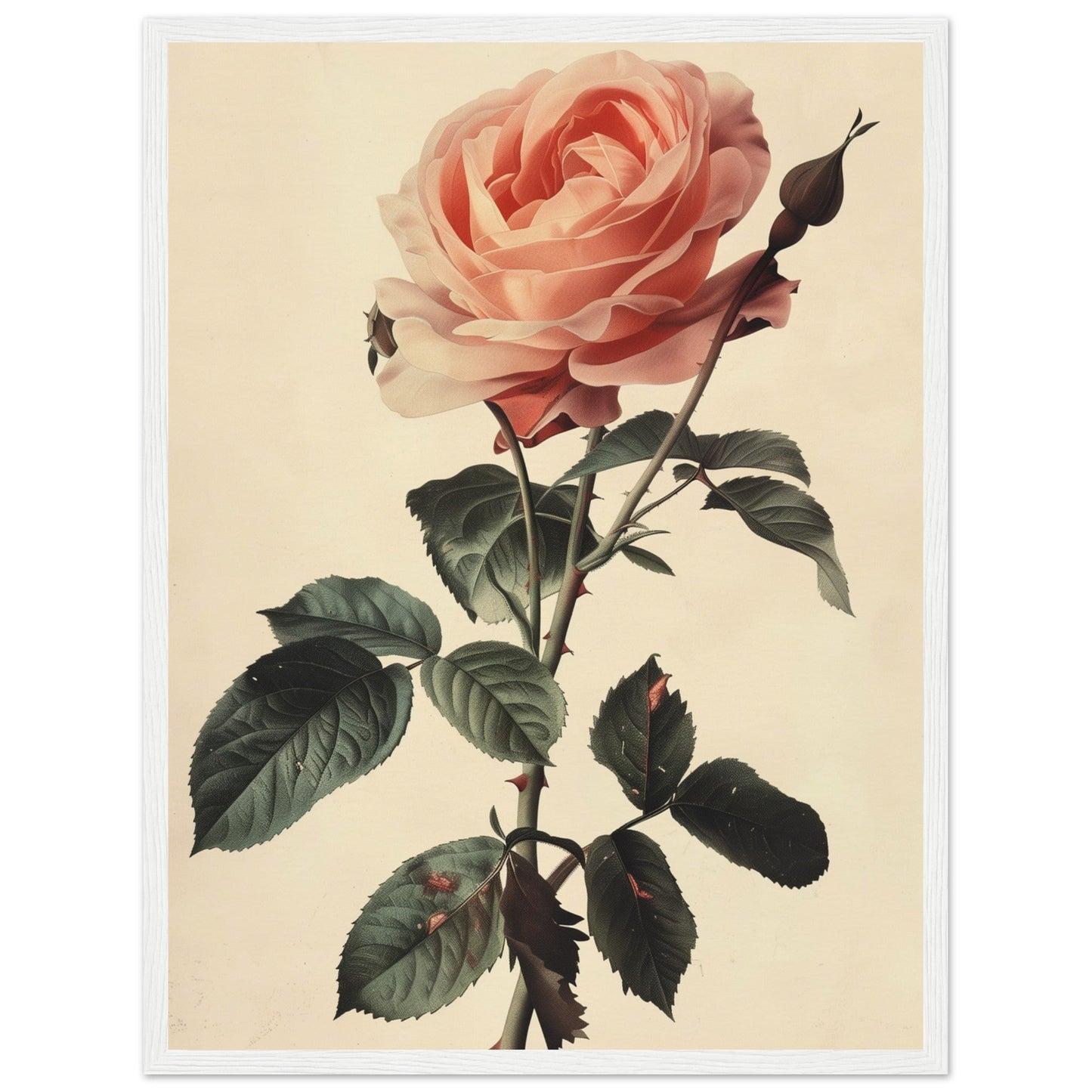 Poster Vintage Rose ( 45x60-cm-Bois-blanc)