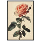 Poster Vintage Rose ( 60x90-cm-Bois-noir)