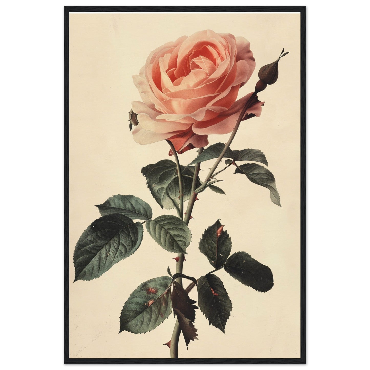 Poster Vintage Rose ( 60x90-cm-Bois-noir)