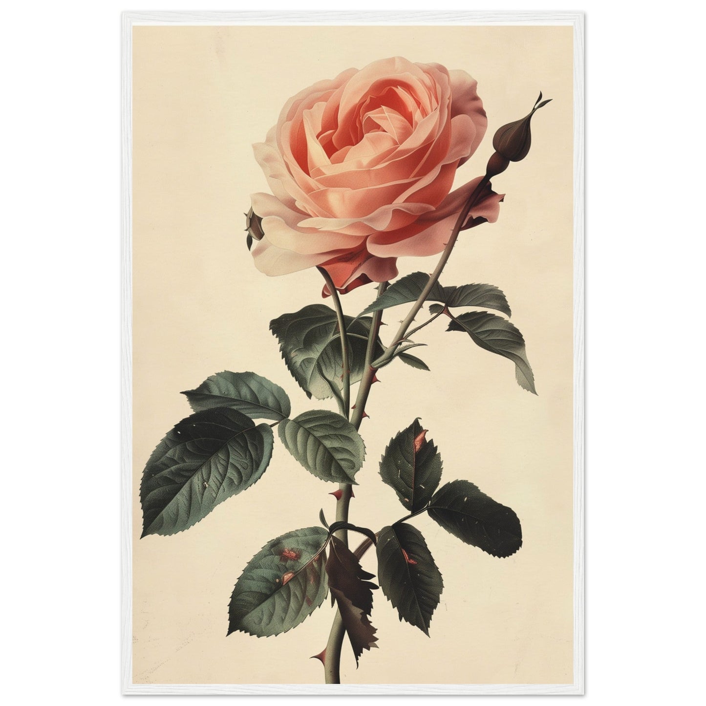 Poster Vintage Rose ( 60x90-cm-Bois-blanc)