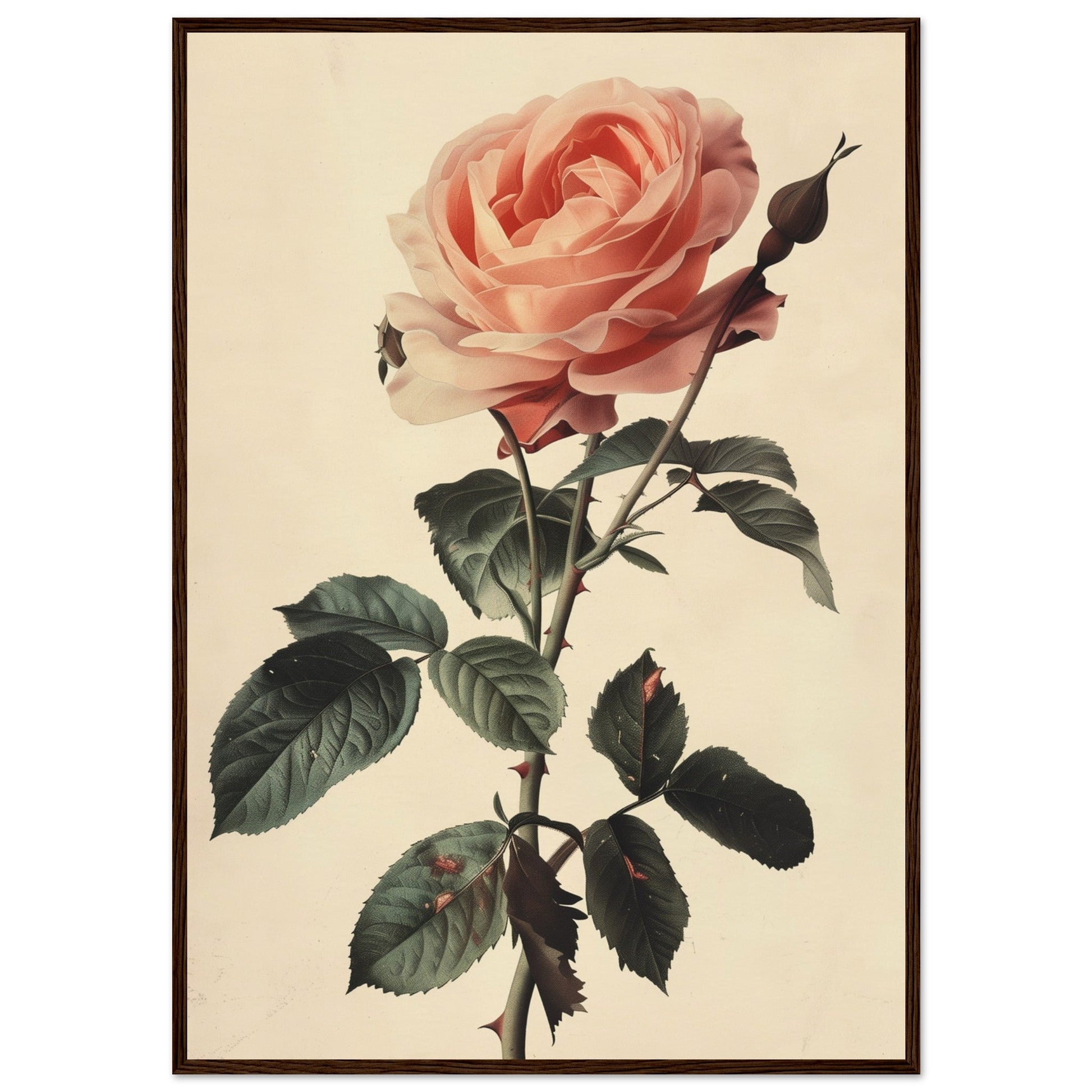 Poster Vintage Rose ( 70x100-cm-Bois-foncé)