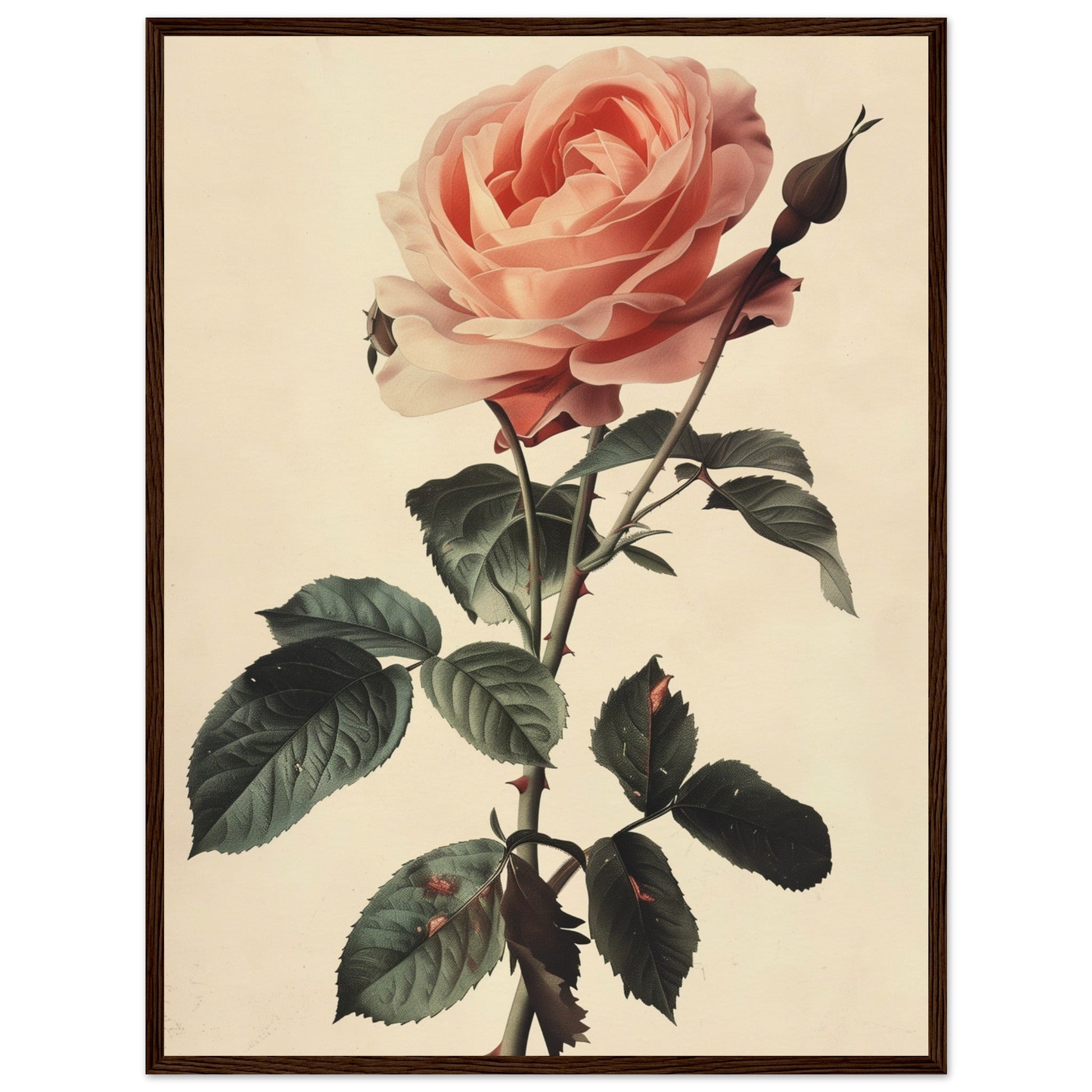 Poster Vintage Rose ( 60x80-cm-Bois-foncé)