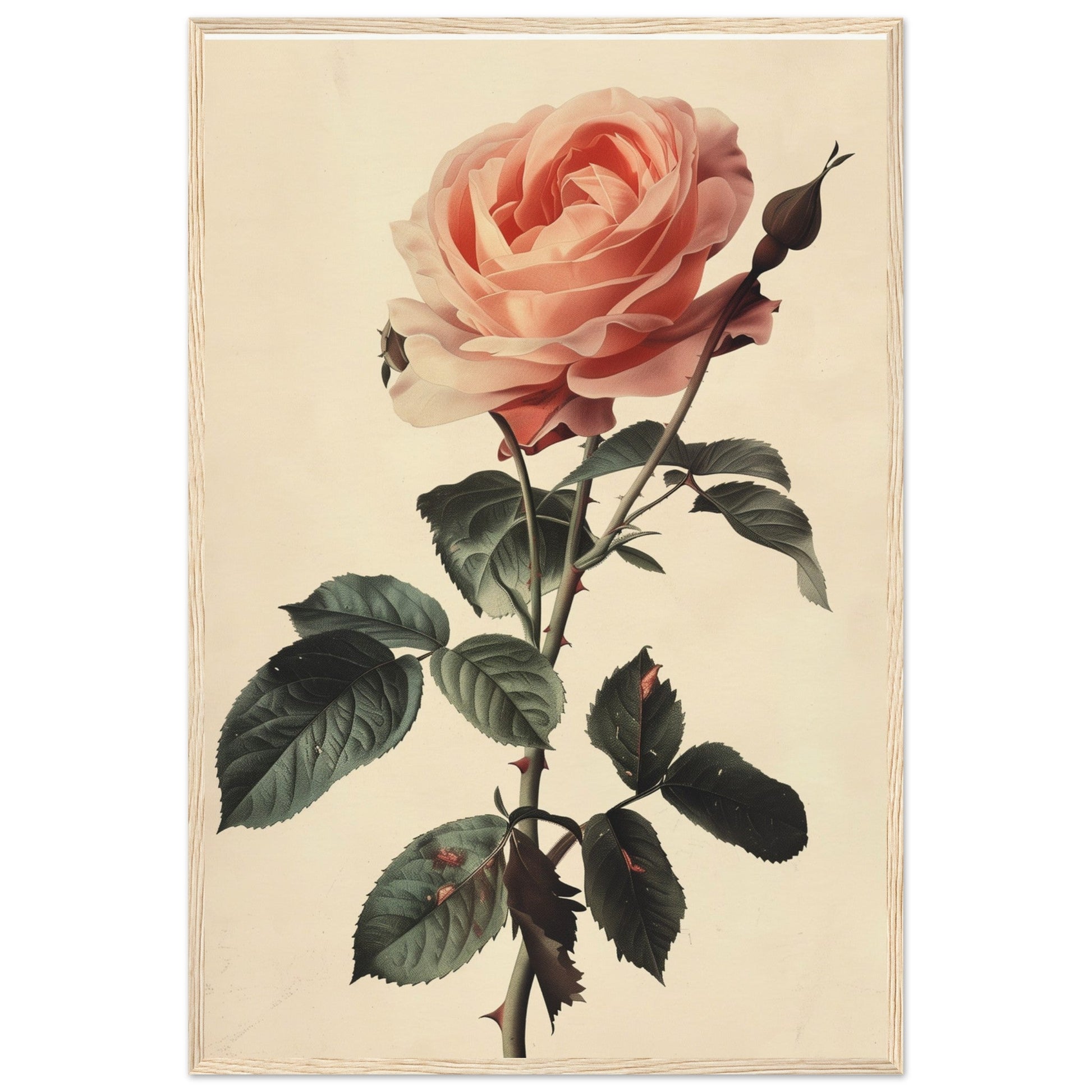 Poster Vintage Rose ( 60x90-cm-Bois-clair)